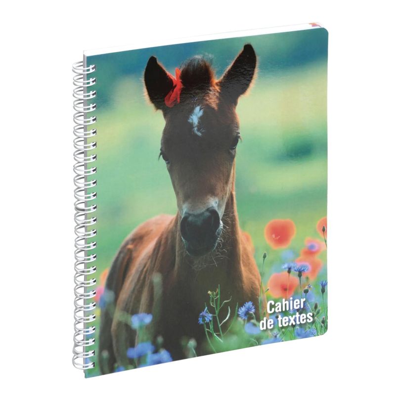 3660942244183-Cahier de textes spiralé Animaux - 17 x 22 cm - disponible dans différentes couleurs - Ex-P_79394629_3-1